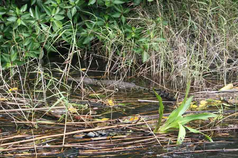 1(24)