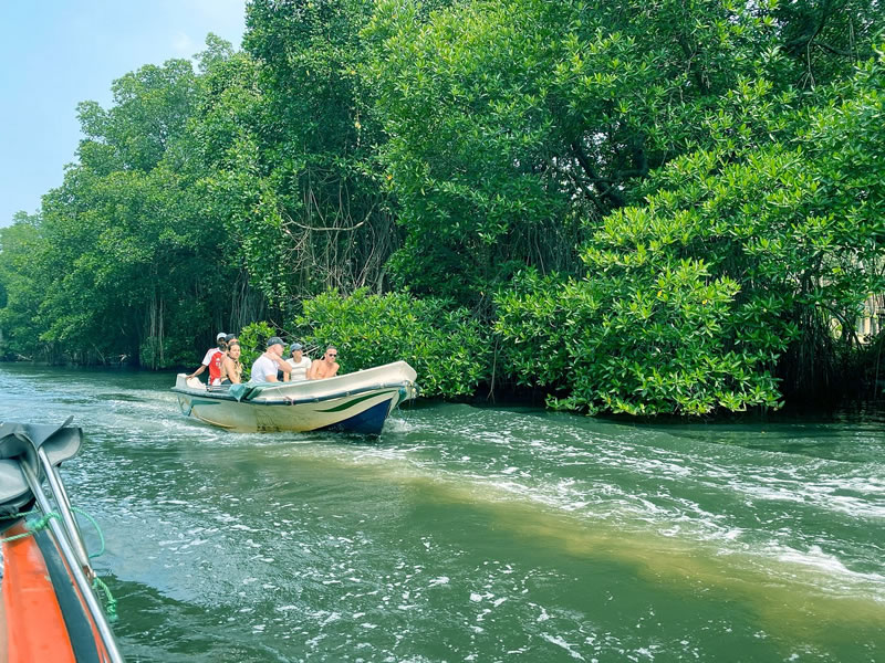 bentota-river-safari